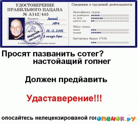 Удостоверение гопника