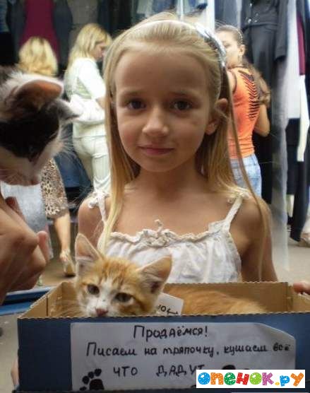 Мило так... Мило так...