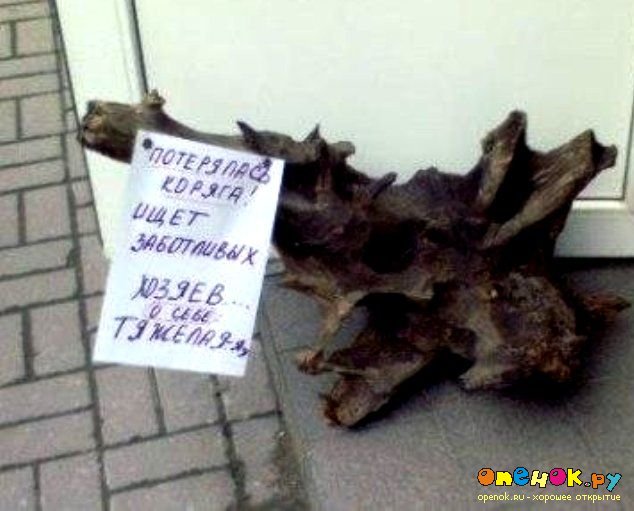 Прикольные объявления и записки (16 фото) Прикольные объявления и записки (16 фото)