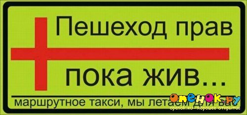 Таблички для маршрутных такси (8 фото) Таблички для маршрутных такси (8 фото)