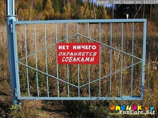 Наша Родина! (6 фото+видео)