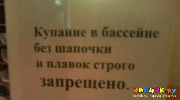 Бредовые надписи повсюду (40 фото)