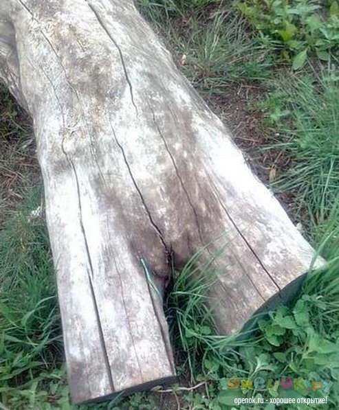 Большинство девушек выглядят именно так Большинство девушек выглядят именно так