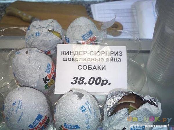 Ужас какой.. Шоколадные яйца собаки. Ужас какой.. Шоколадные яйца собаки.