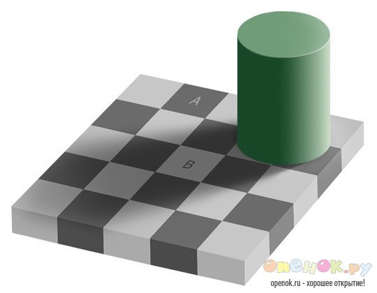Оптическая иллюзия Оптическая иллюзия