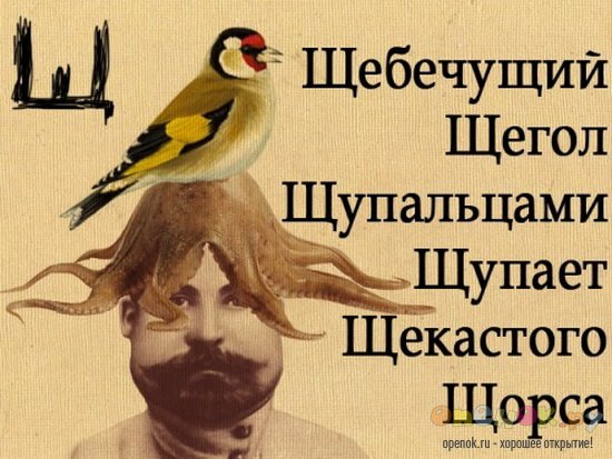 Алфавит! (33 фото)