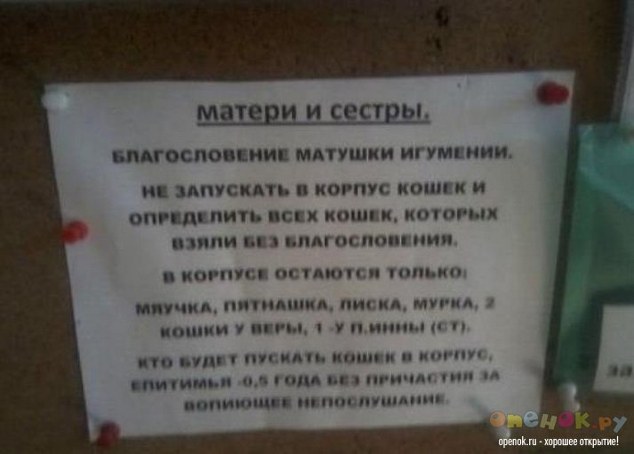 Объявление в женском монастыре