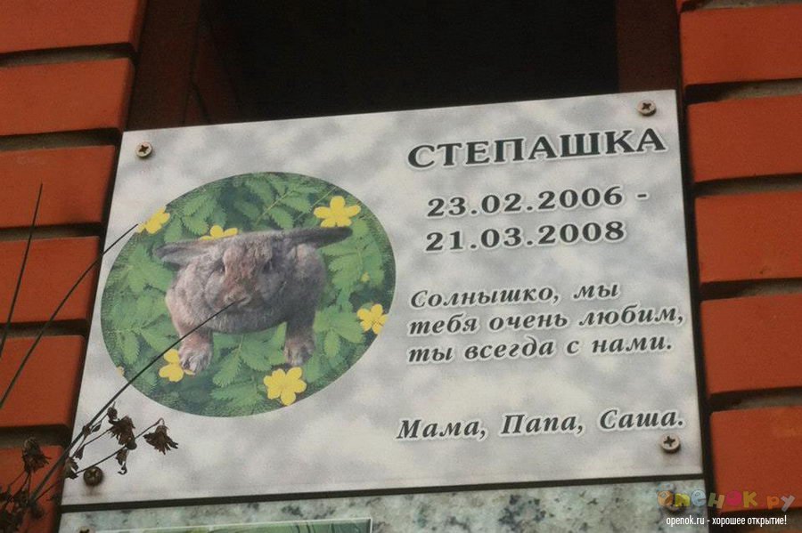 Кладбище домашних животных (24 фото)