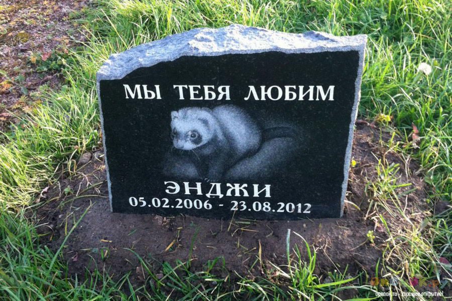 Кладбище домашних животных (24 фото)