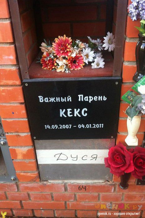 Кладбище домашних животных (24 фото)