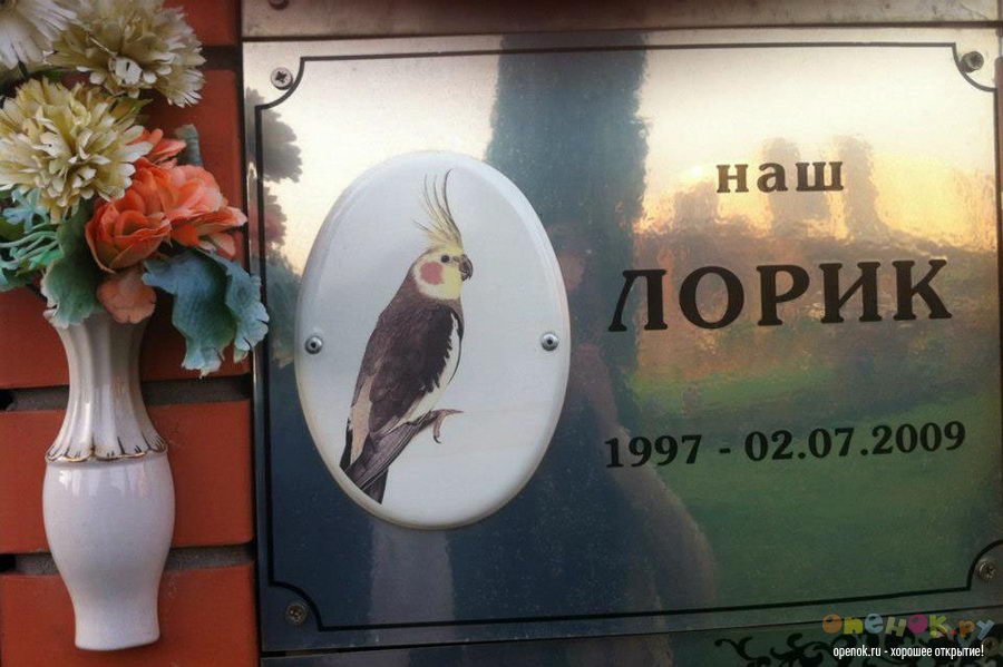 Кладбище домашних животных (24 фото)