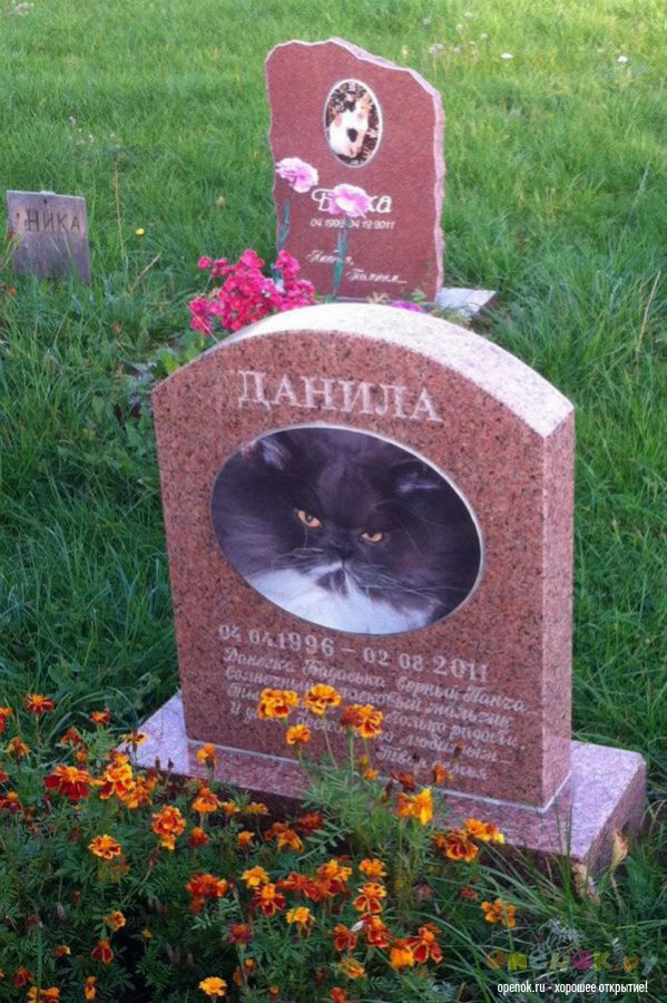 Кладбище домашних животных (24 фото)